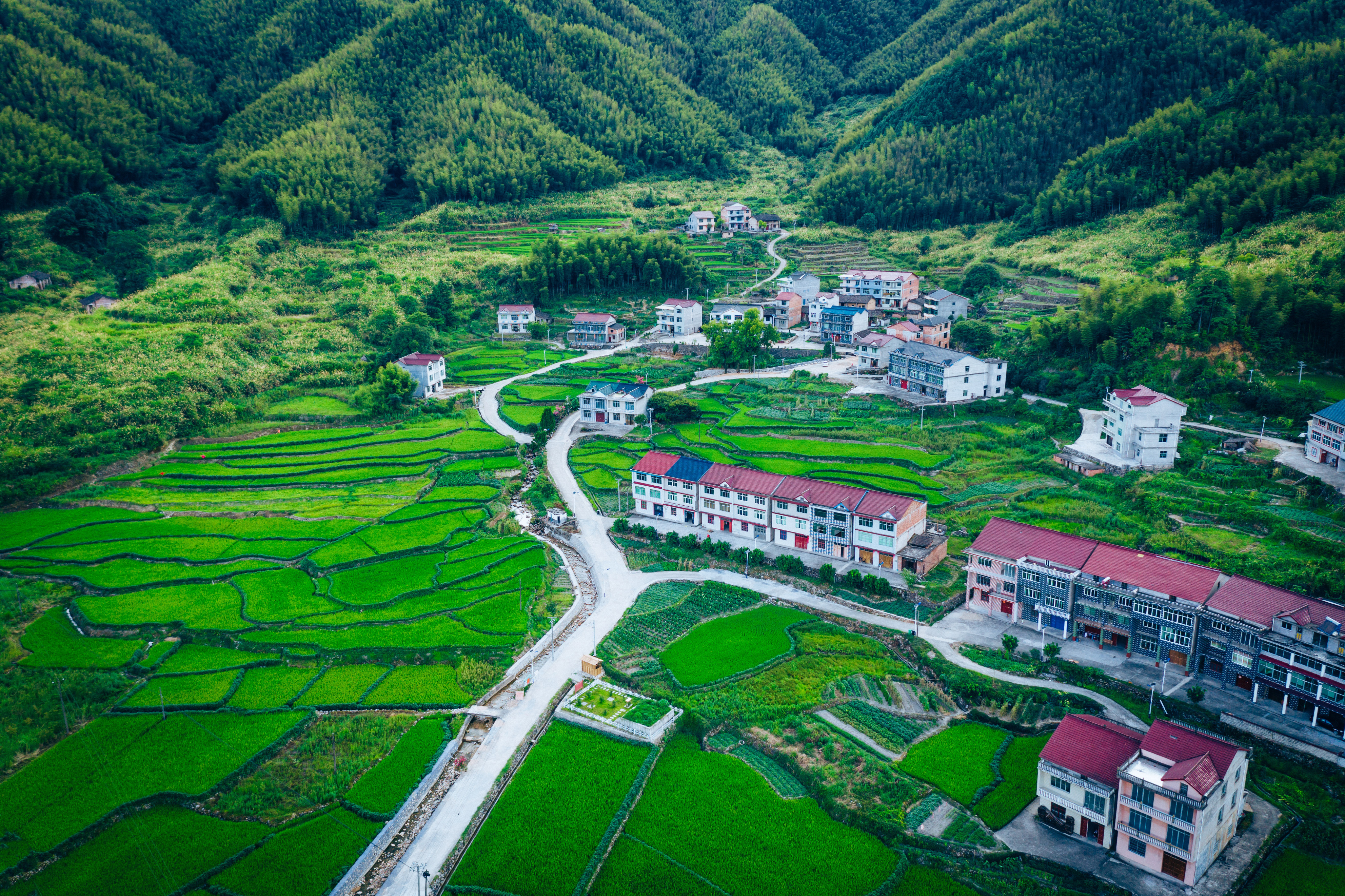 行游五府山：解密3宝，山野美味游走舌尖，传递平实的幸福