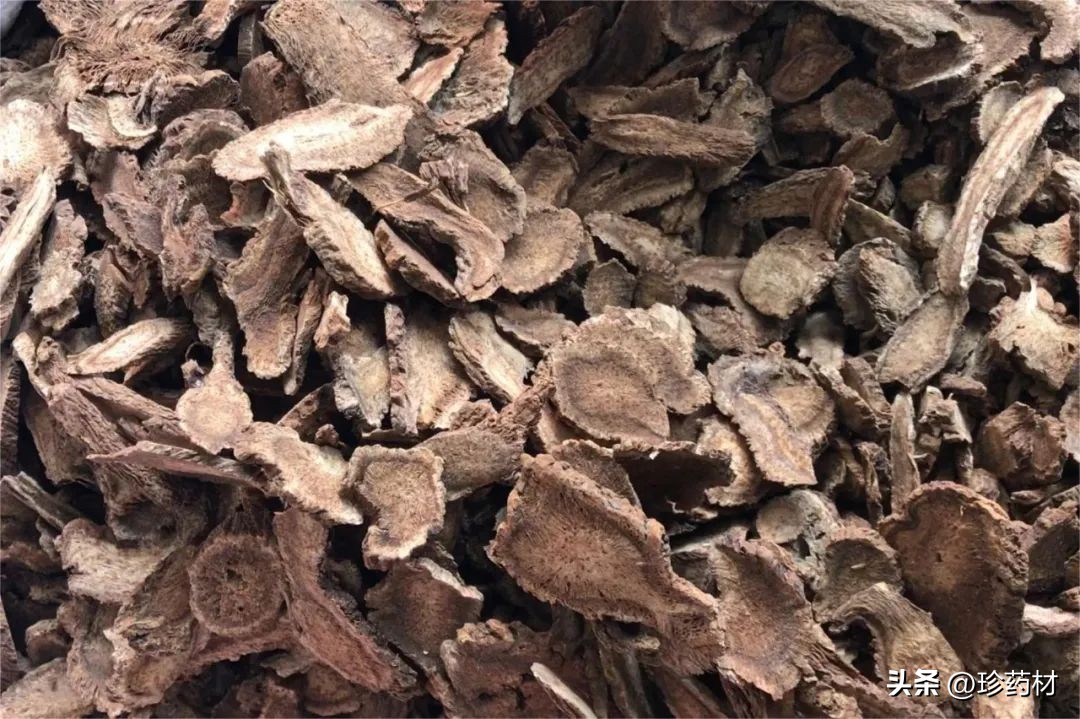 12月5日中药材市场快讯：白及、隔山撬、木香、白芍、北沙参等