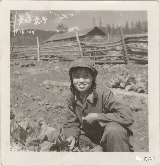 战友作品:“北极”女兵(黄爱明)梅梓祥