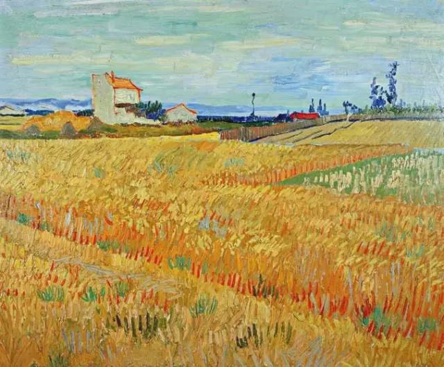 世界油画向日葵,梵高金色麦田油画临摹教程