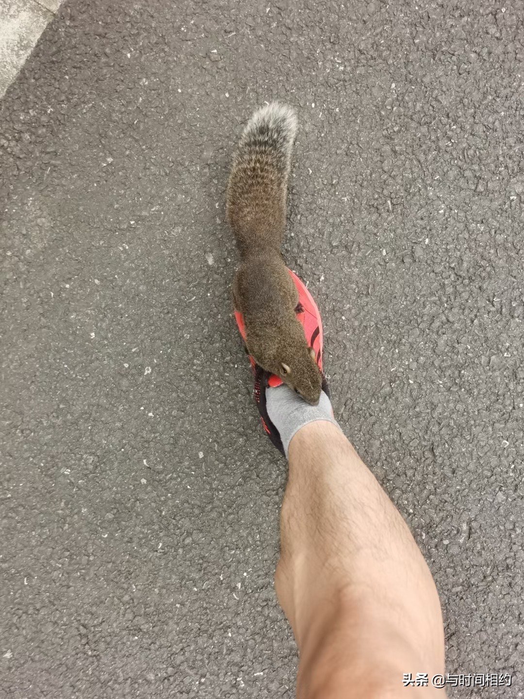 昆山森林公园跑步攻略,昆山哪里适合晨跑