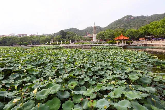 在厦门生活,在厦门生活工作的感受
