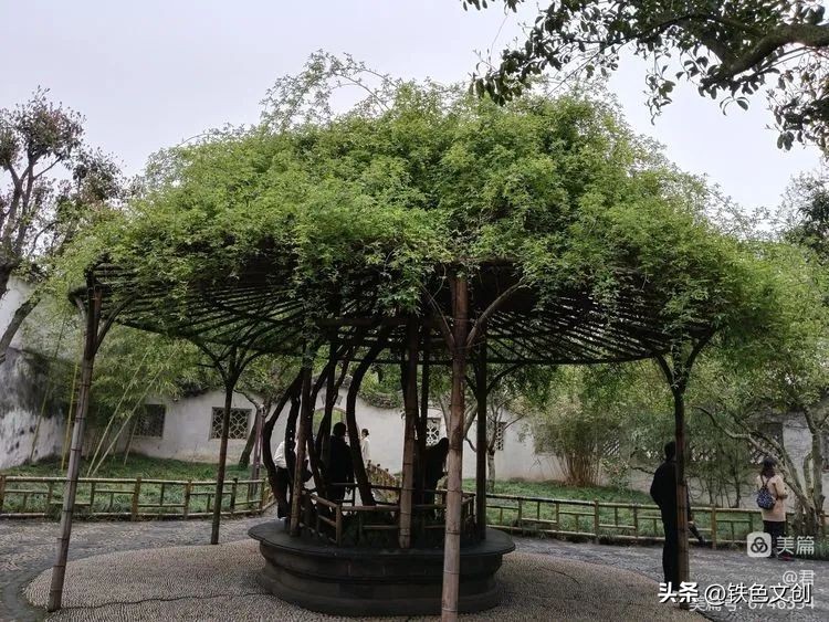 苏州游记之拙政园,苏州拙政园一日游攻略图片