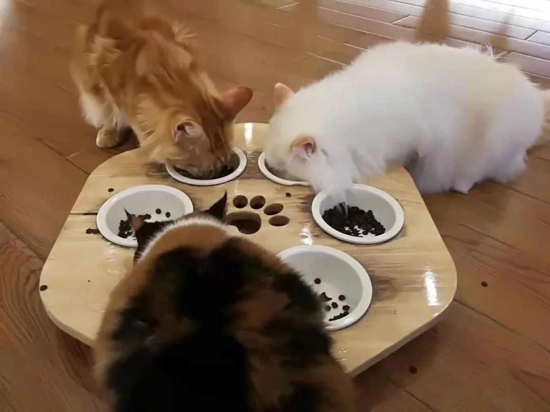 宁波万达潮玩,宁波潮玩店在哪