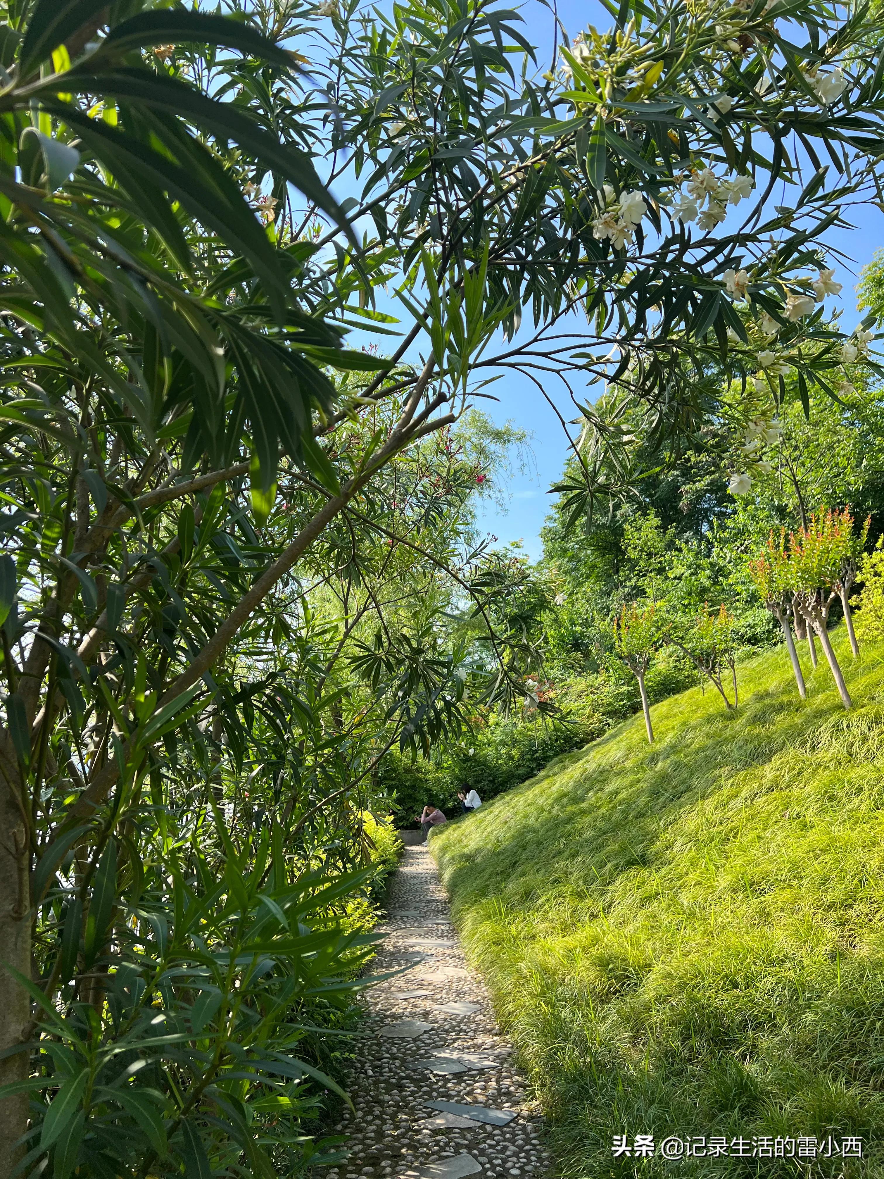 五一假期旅游冲突,和五一假期擦肩而过