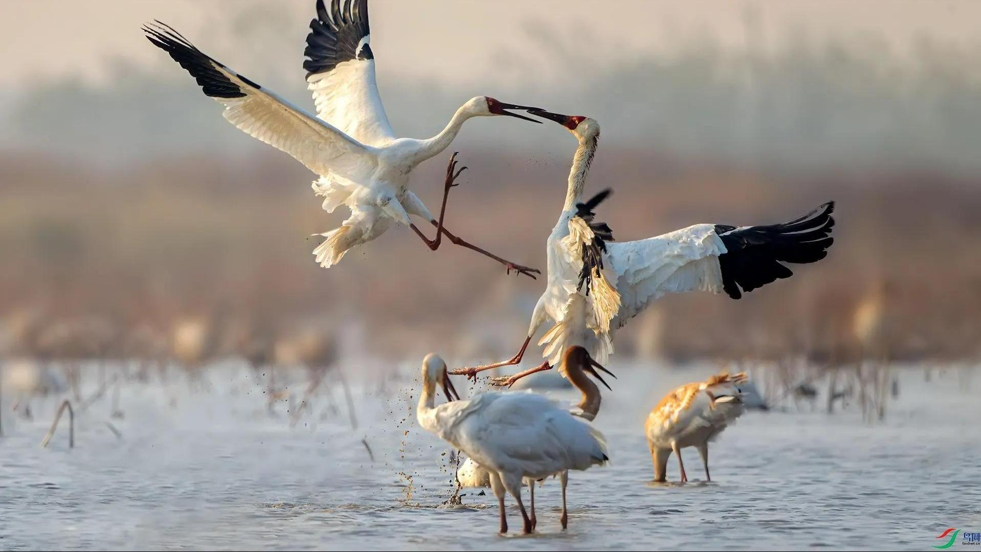 盐城千亿级县区,盐城一座打开心扉的城市图片