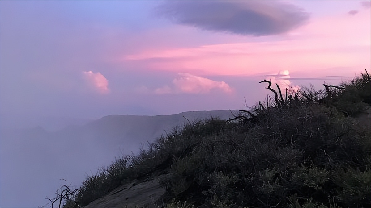文章最好听的背景音乐,美文朗读背景音乐推荐