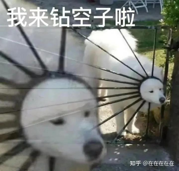 京东自杀式物流援沪，阿里副总裁连夜跑路