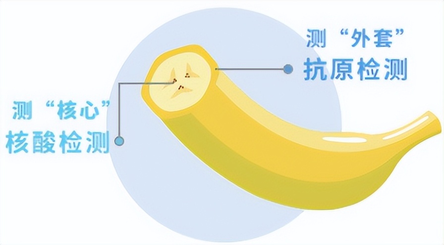 发现自己新冠阳性了怎么办,突然发现自己阳了怎么办
