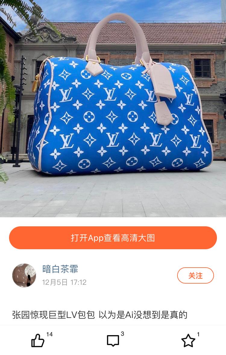 lv最大的贵妇包包,lv最大的斜挎包