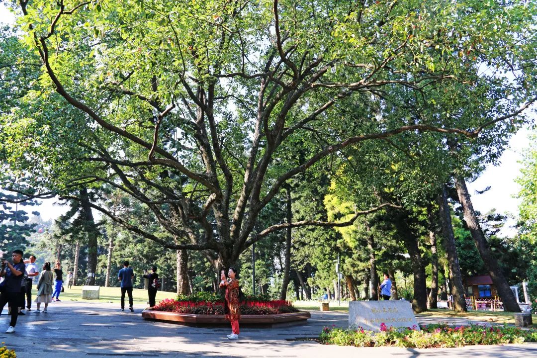 厦门亲子旅行攻略,厦门北站亲子宾馆