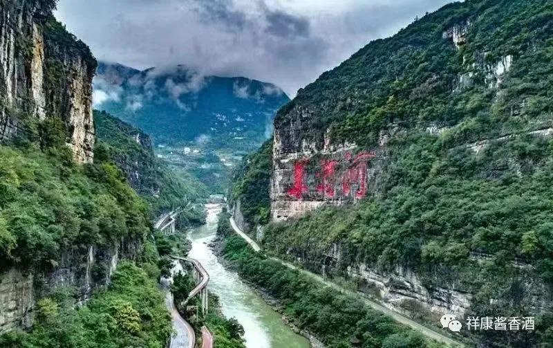 白酒招商代理加盟,白酒加盟代理创业项目