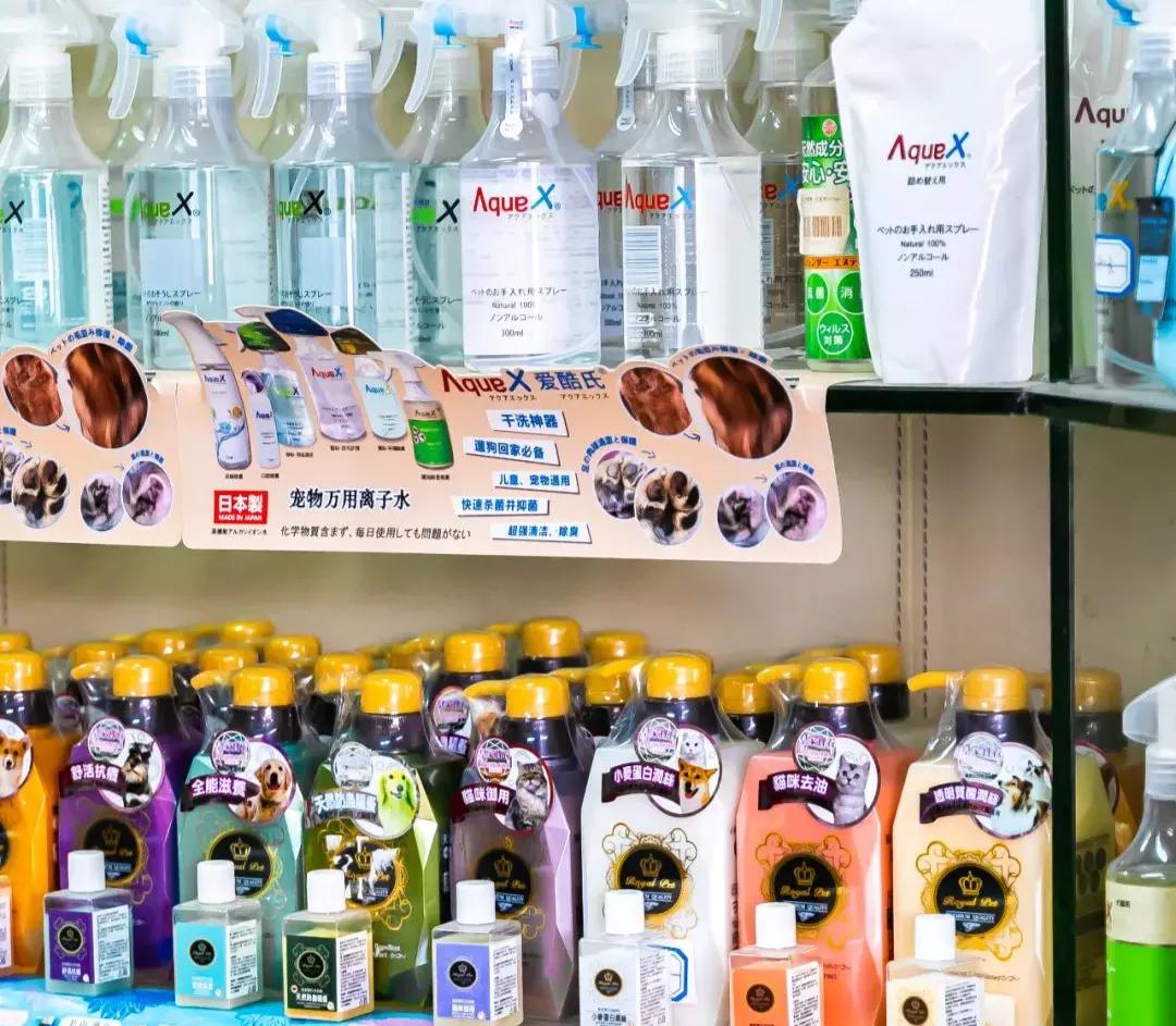 深圳探访宠物店,深圳最好的宠物街