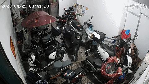 百日整治、举报有奖，能解决广州“*鸡电**围城”乱象吗？