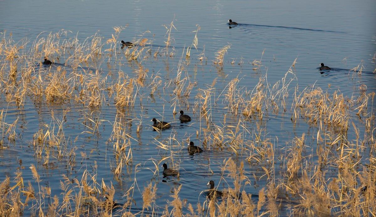 中国死海运城盐湖多大面积,中国死海运城盐湖图片