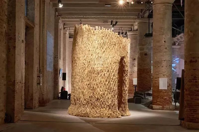 未之头条：重新认识霉菌，它除了变牛排还能盖房子