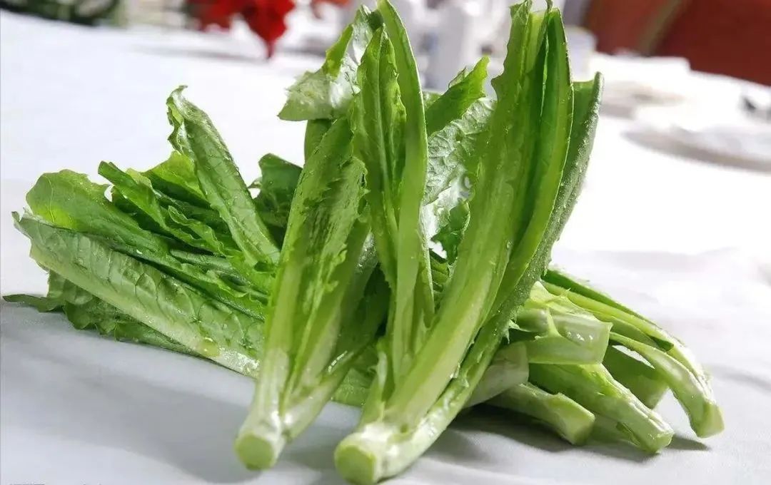 浙江人常吃的蔬菜有哪些,幼儿园常吃的蔬菜有哪些