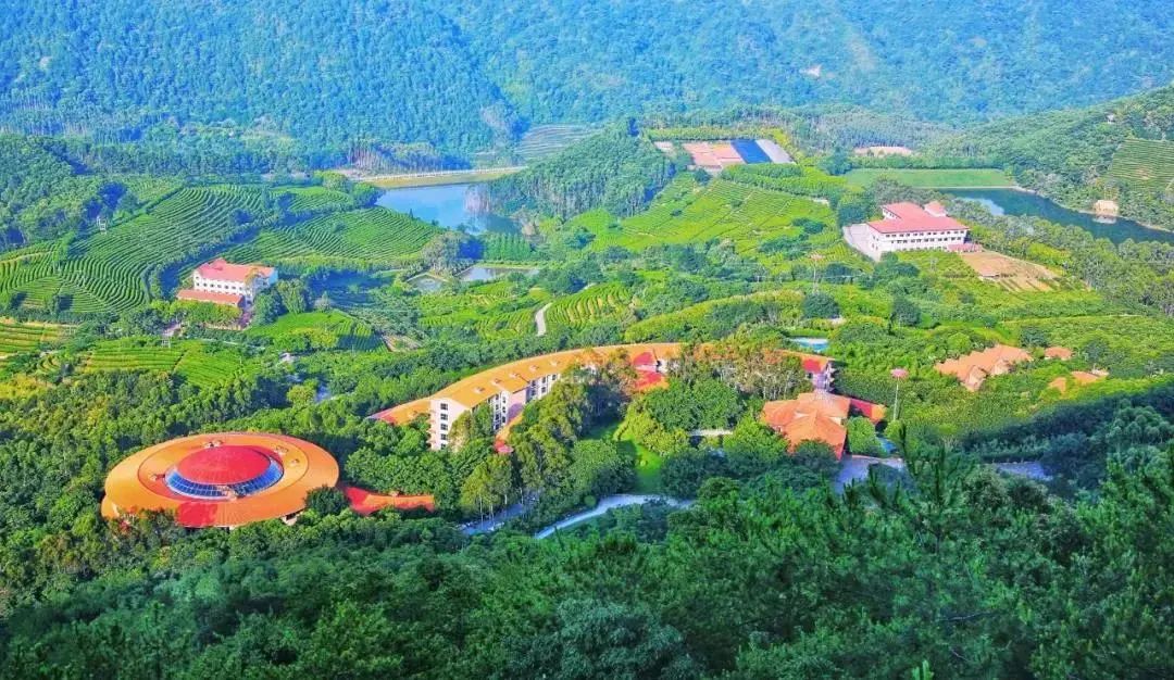 期待梅州客家冲超成功,梅州客家队冲超了对梅州有发展吗