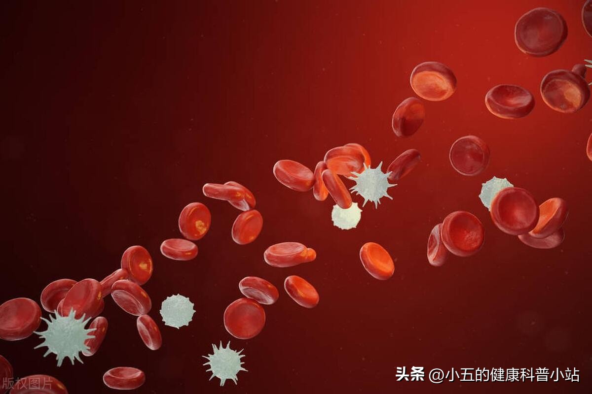 老年人提高免疫力吃什么药物,老年人提高免疫力吃什么药效果好