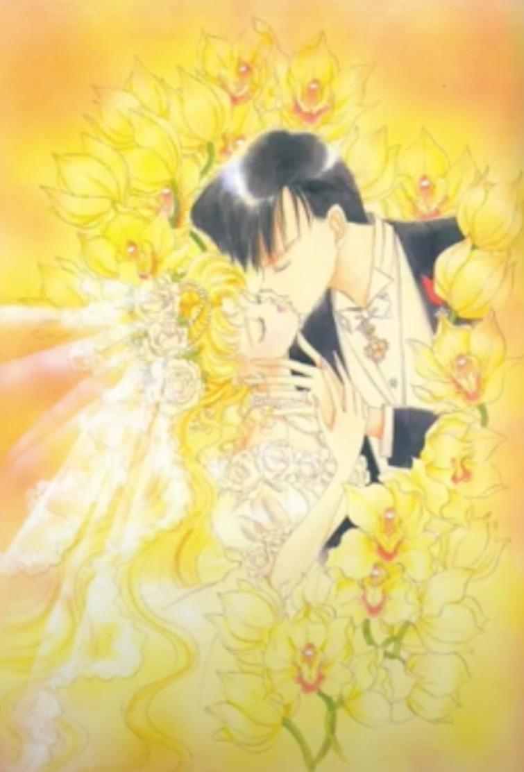 美少女战士的作者是否是名媛,美少女战士作者和富坚义博