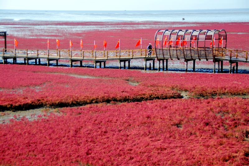 辽宁盘锦在哪个地方,去盘锦旅游哪里好