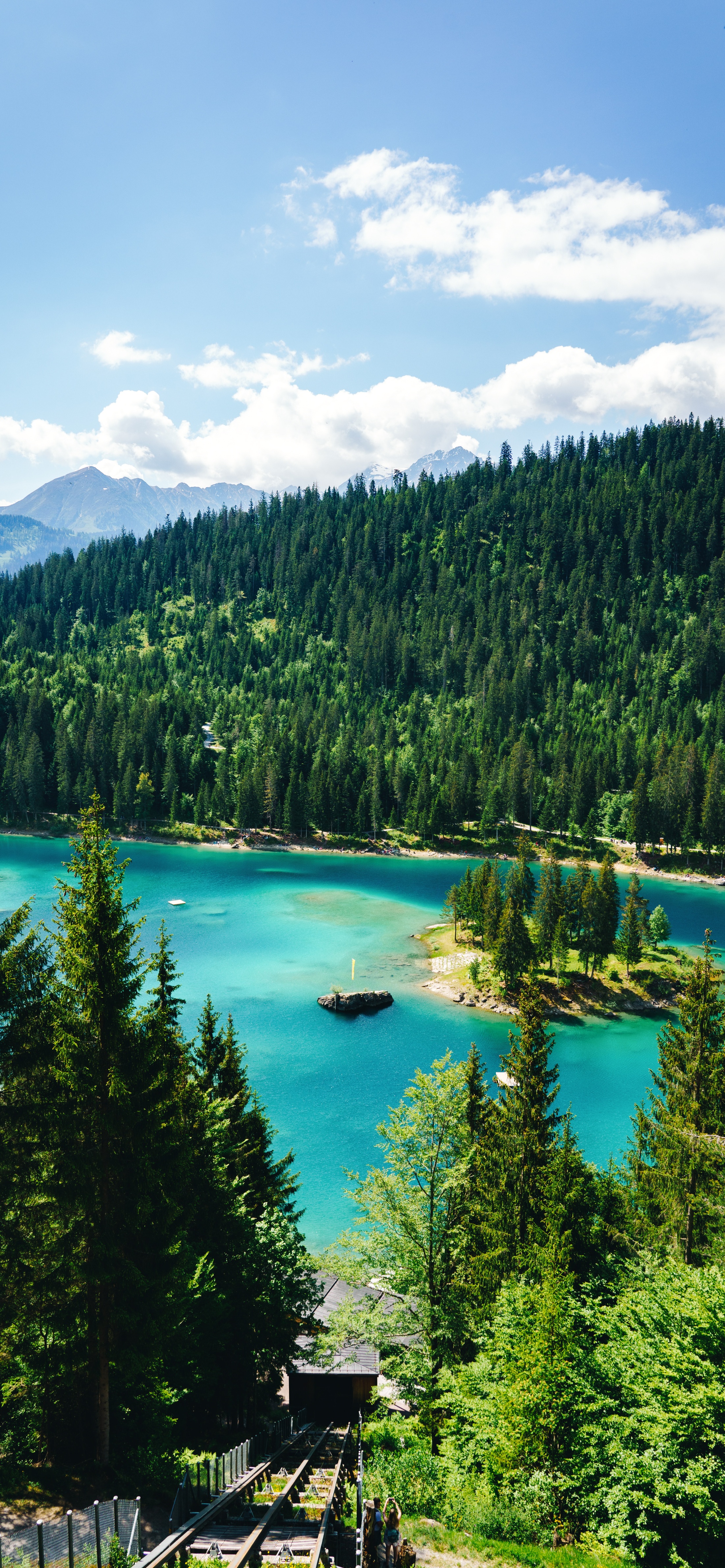 高清蓝天自然风景壁纸,动物自然风景高清壁纸