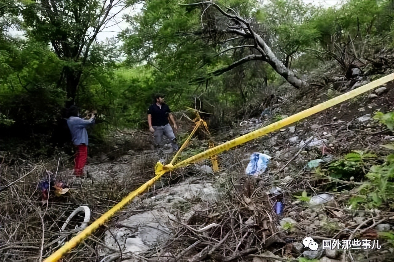 成都17岁高中生被杀害,洛阳18岁学生被杀害