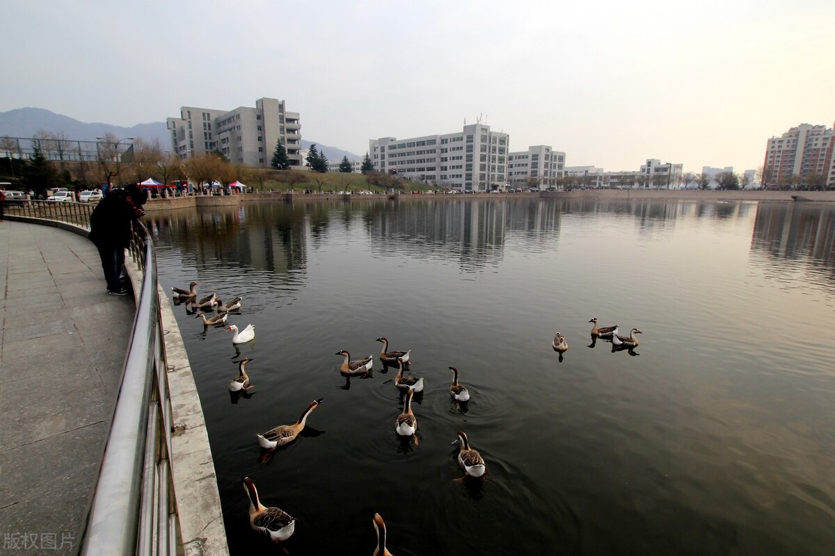 青岛大学第五次学科评估前景,青岛大学第四次学科评估结果