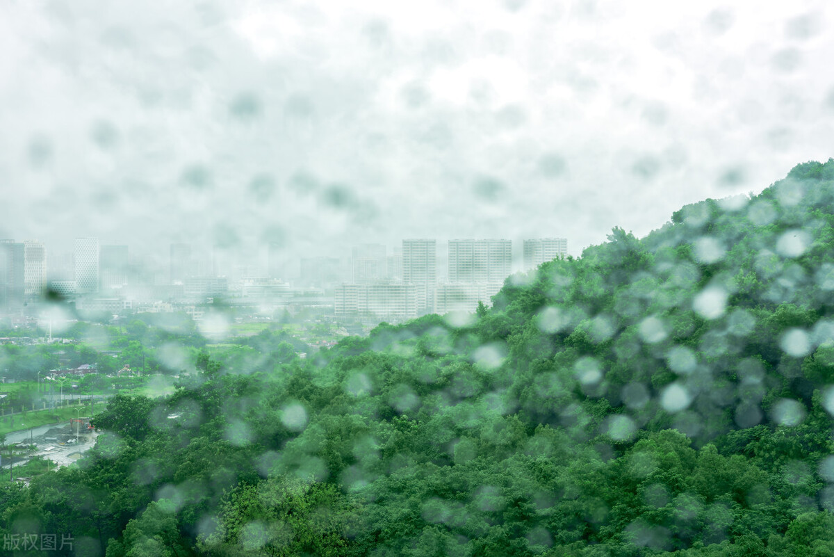 夏天喝温水祛湿气吗,夏天脾胃虚寒的人泡什么喝