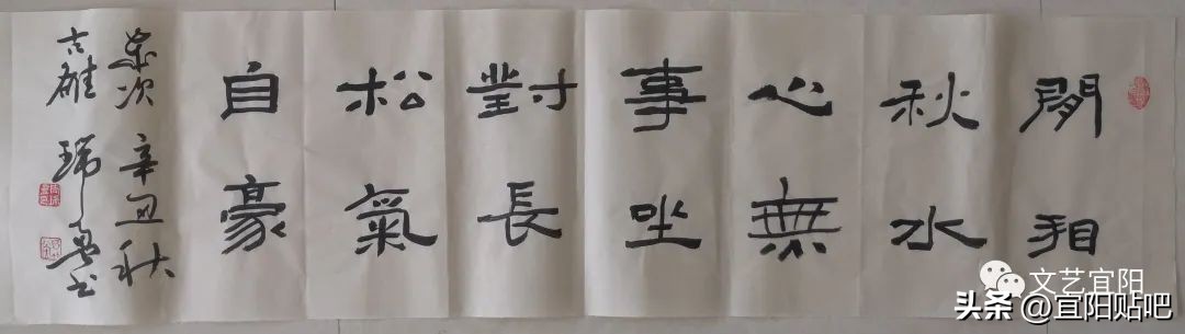 周瑞盈宜阳,宜阳周瑞盈