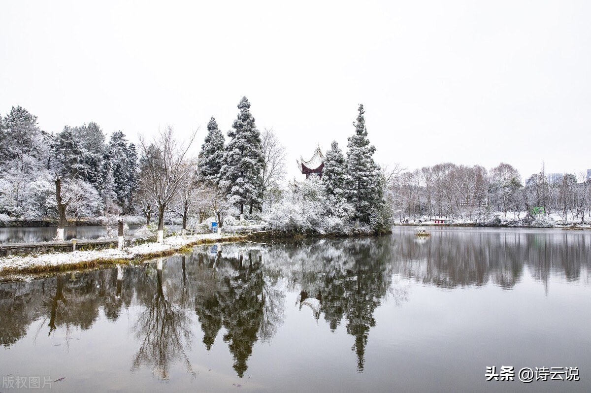 中国现代诗歌批判,戏说社会现状