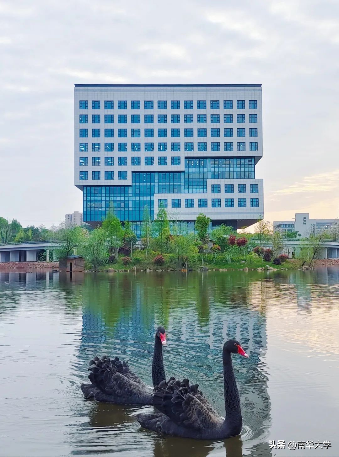 南华大学校花全集,校花南华大学