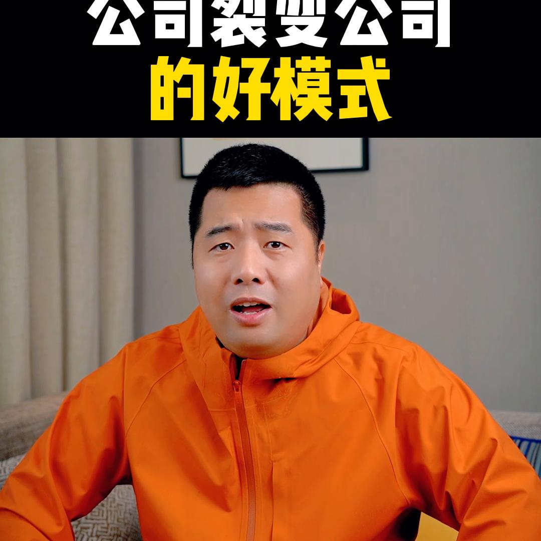 公司裂变盈利模式,裂变模式公司