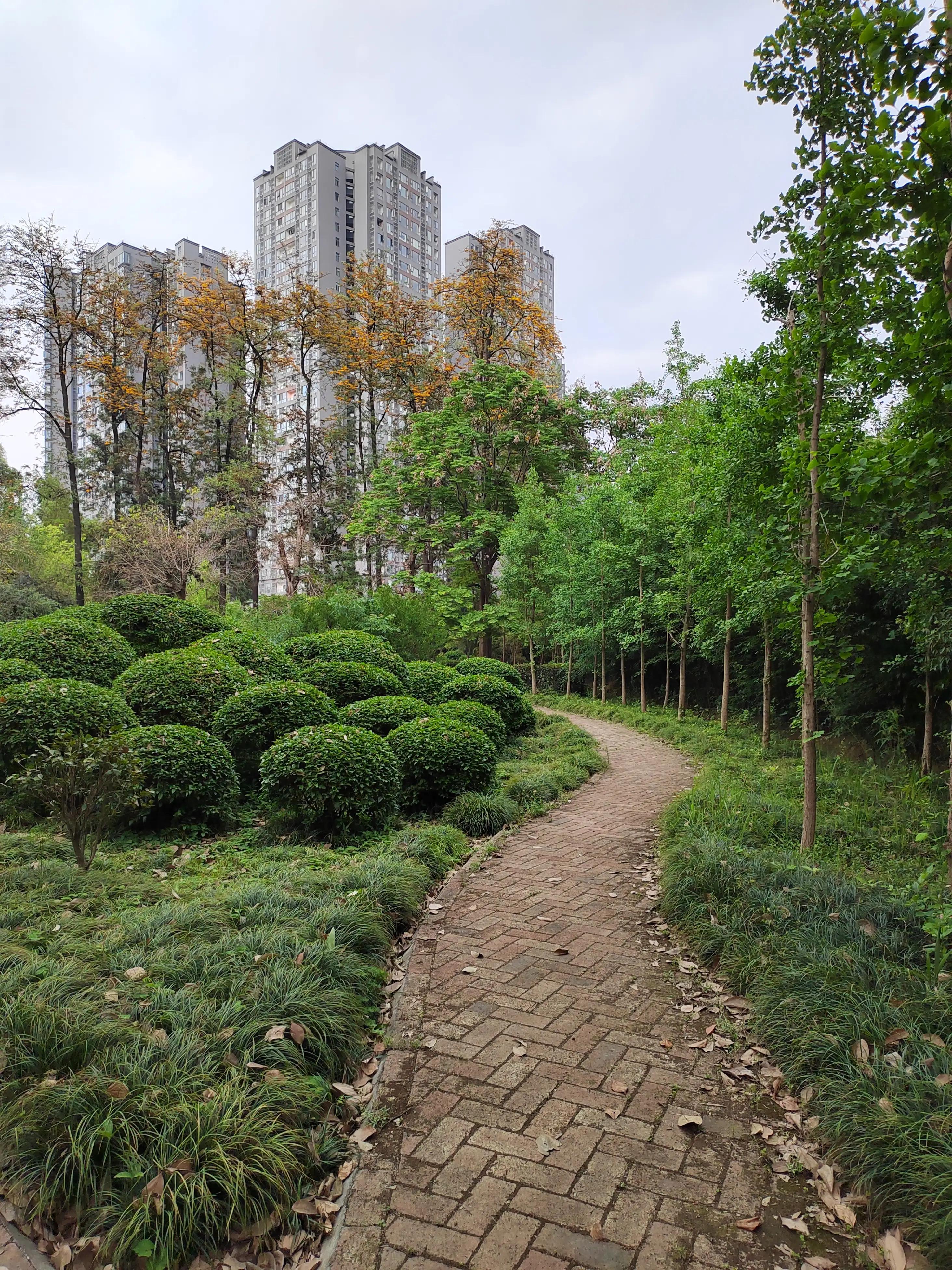 头条播放量高收益低怎么回事,头条收益这么低还值得做吗