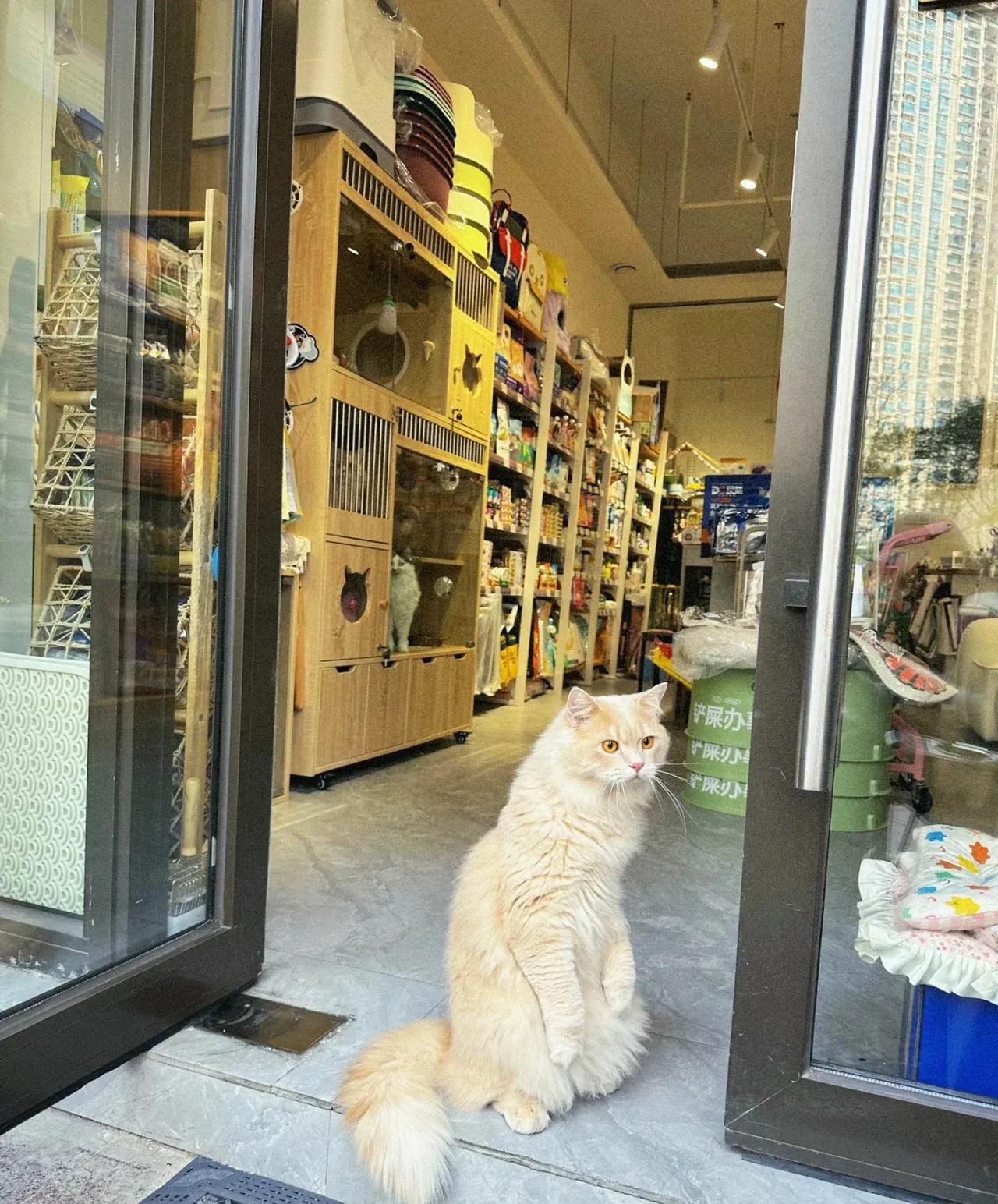 现在最合适的创业项目有哪些,创业热门项目国外最新创业项目