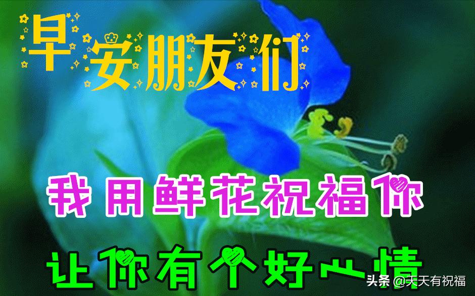 清凉淡雅的早晨好带字漂亮图片,早晨好图片大全温馨带字