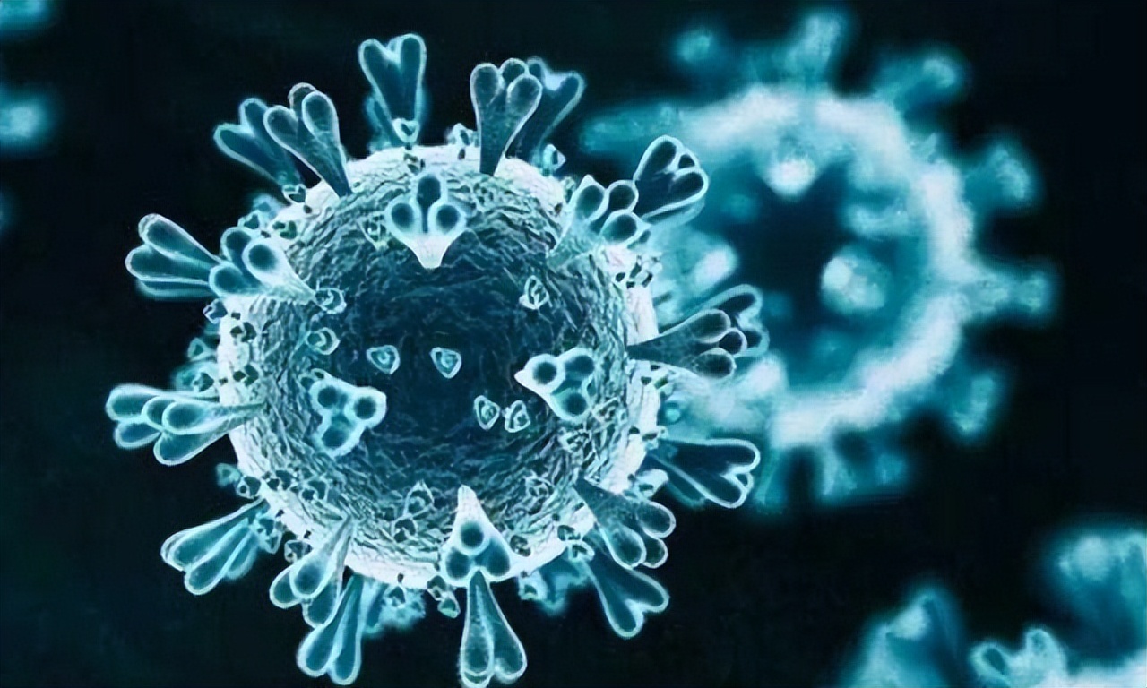 发烧不能吃鸡蛋是中医说的吗,发烧时不能吃蛋白质