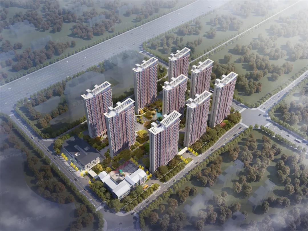 襄阳白菜最新价格,襄阳白菜聊襄阳房价