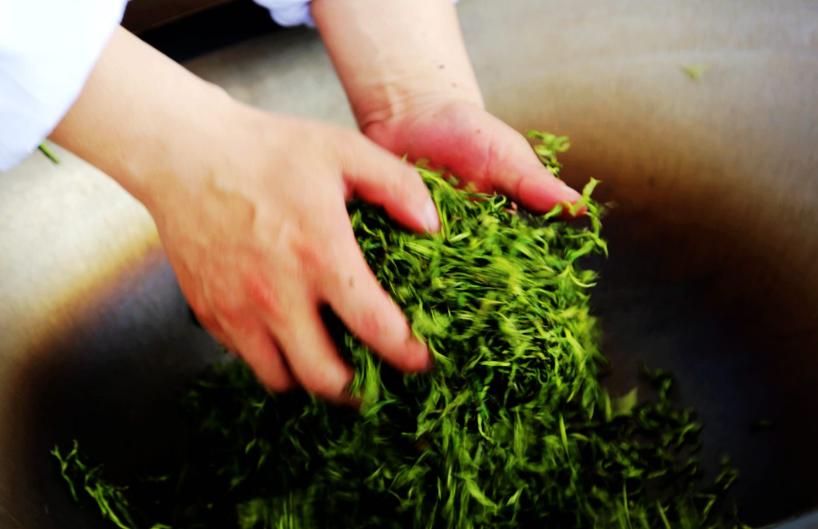 炒茶工艺传承现状,炒茶非遗技术有哪些特点