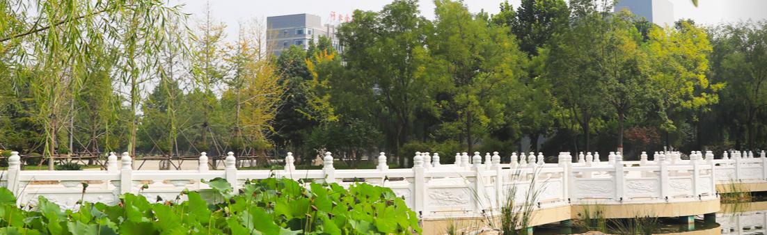 河北经贸大学PK河北金融学院，纠结的高考分数，该做何选择？