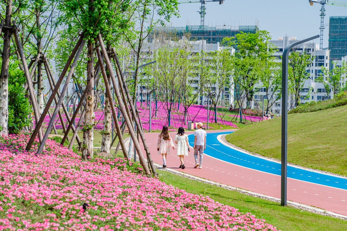 人间四月芳菲尽只是桃花始盛开,人间四月芳菲尽山寺花草始盛开