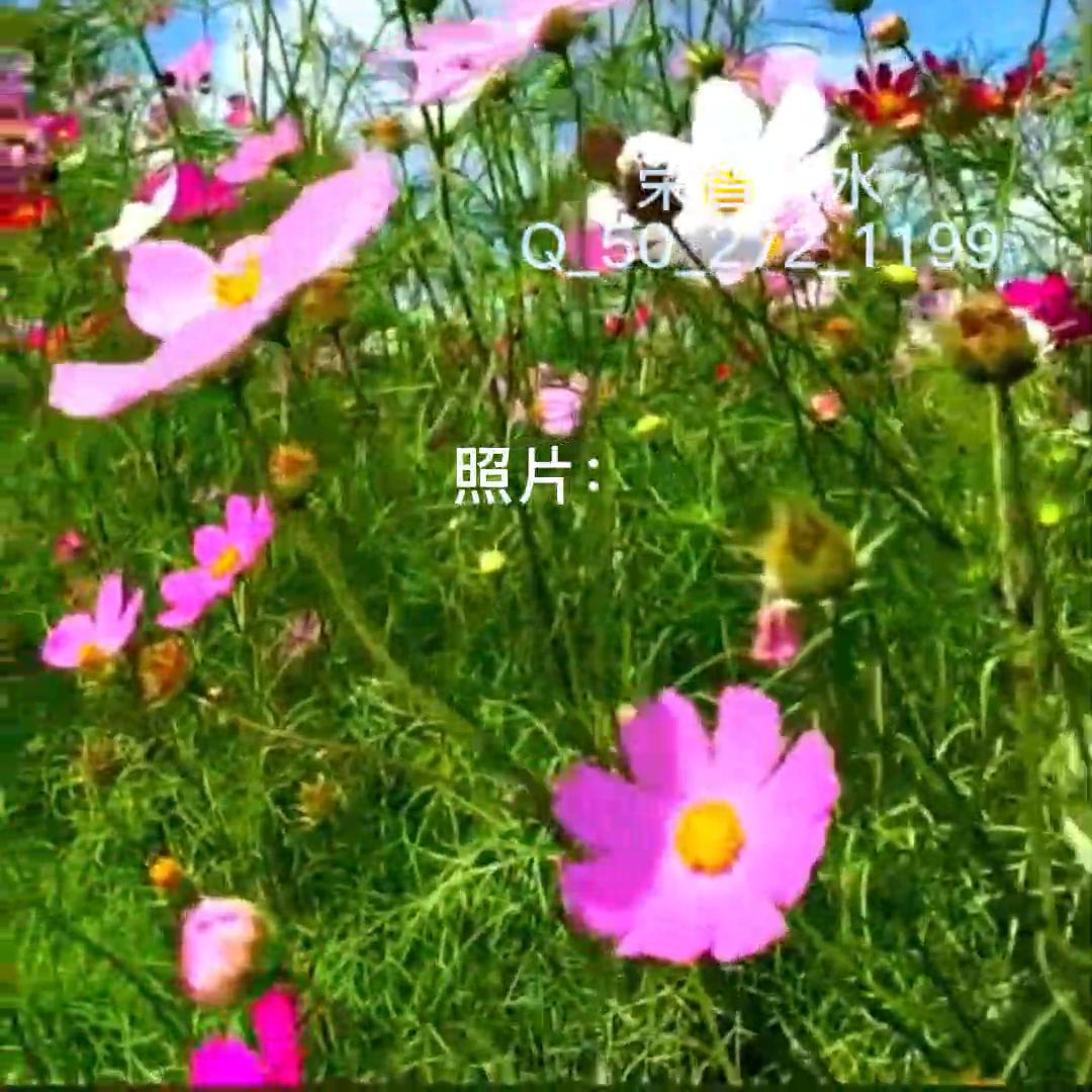 办理签证都需要存款证明吗,办理签证需要提供的资料