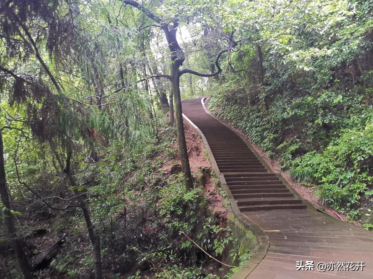 信息简报的写作技巧是什么呢,公文简报写作基础知识大全