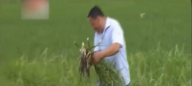 43岁男人负债2000万,内蒙古男子欠债5000万