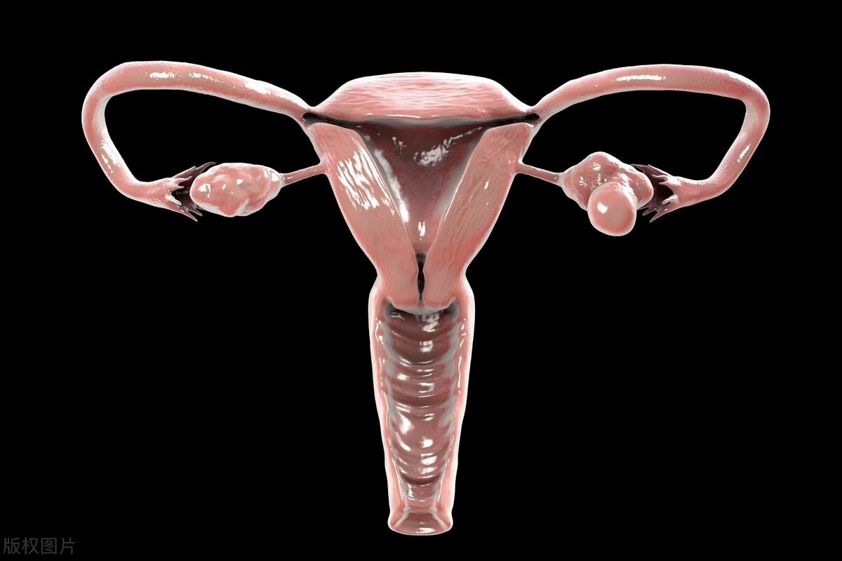 女的处对象多了有什么危害,女人处对象处多了会怎么样