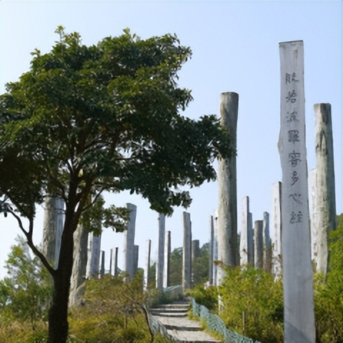 第一次去香港哪里打卡,第一次去香港玩必去的景点