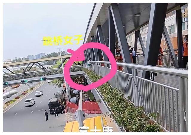 富士康女生被开除,女子富士康上班15年