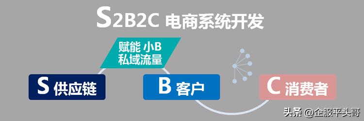 简单说s2b2c是什么样的电商模式,电商b2b模式有哪些