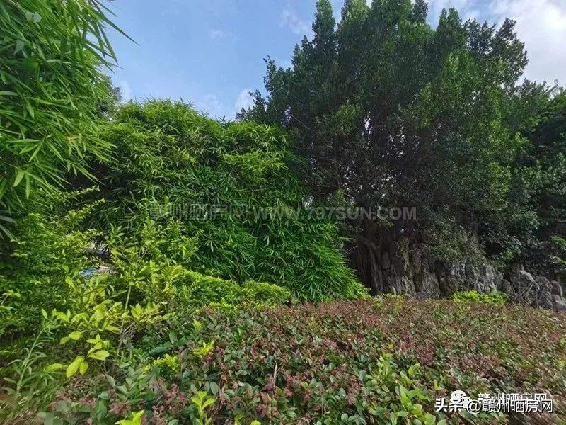 赣州万达附近的小区有哪些,赣州万达广场别墅