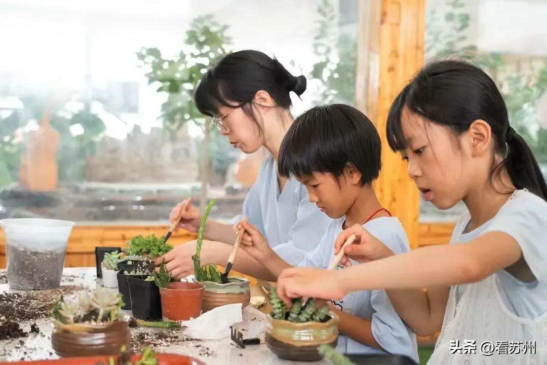 张家港市公示名单,张家港排名前十学校